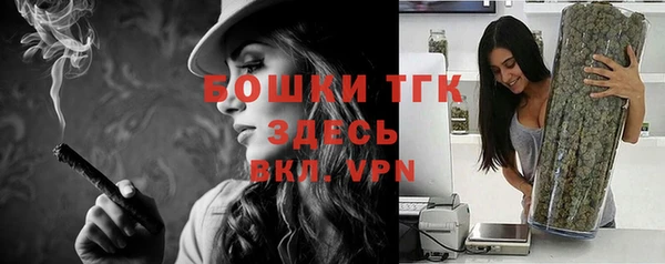 первитин Богданович