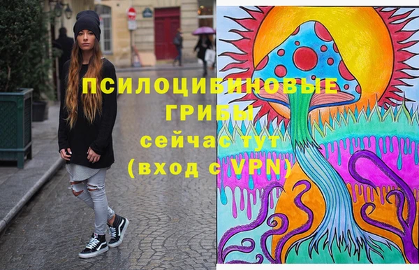 первитин Богданович