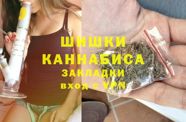 первитин Богданович