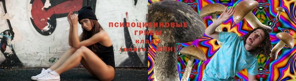 первитин Богданович